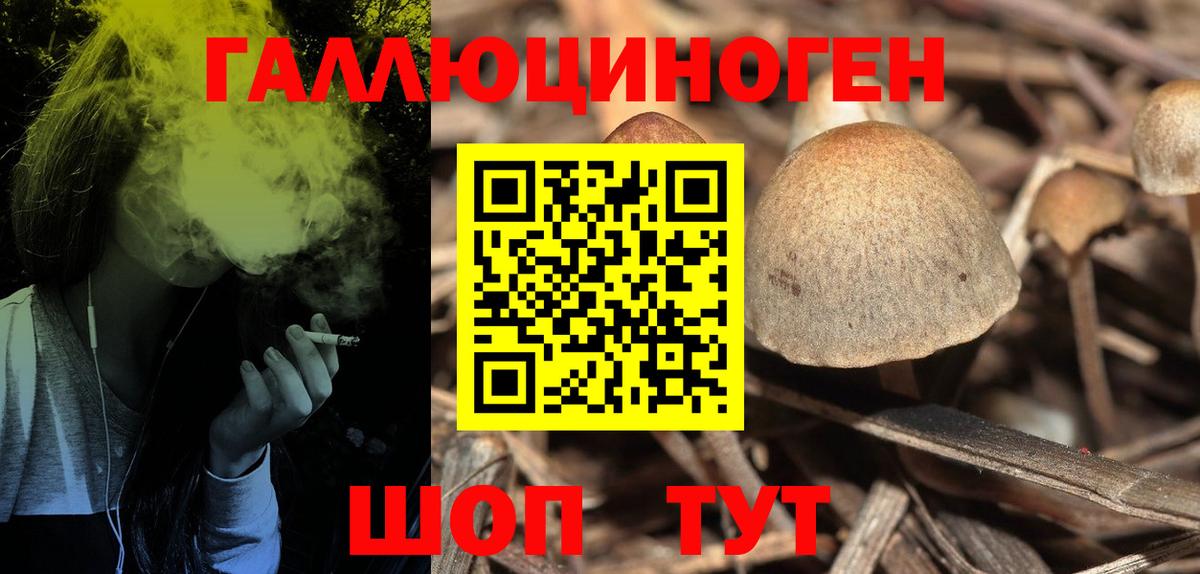 Десногорск  Псилоцибиновые грибы Psilocybe  Вход с VPN 